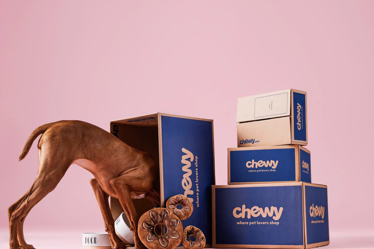 Chewy Coupon Round-Up: Pamper Pets for Pennies Cover